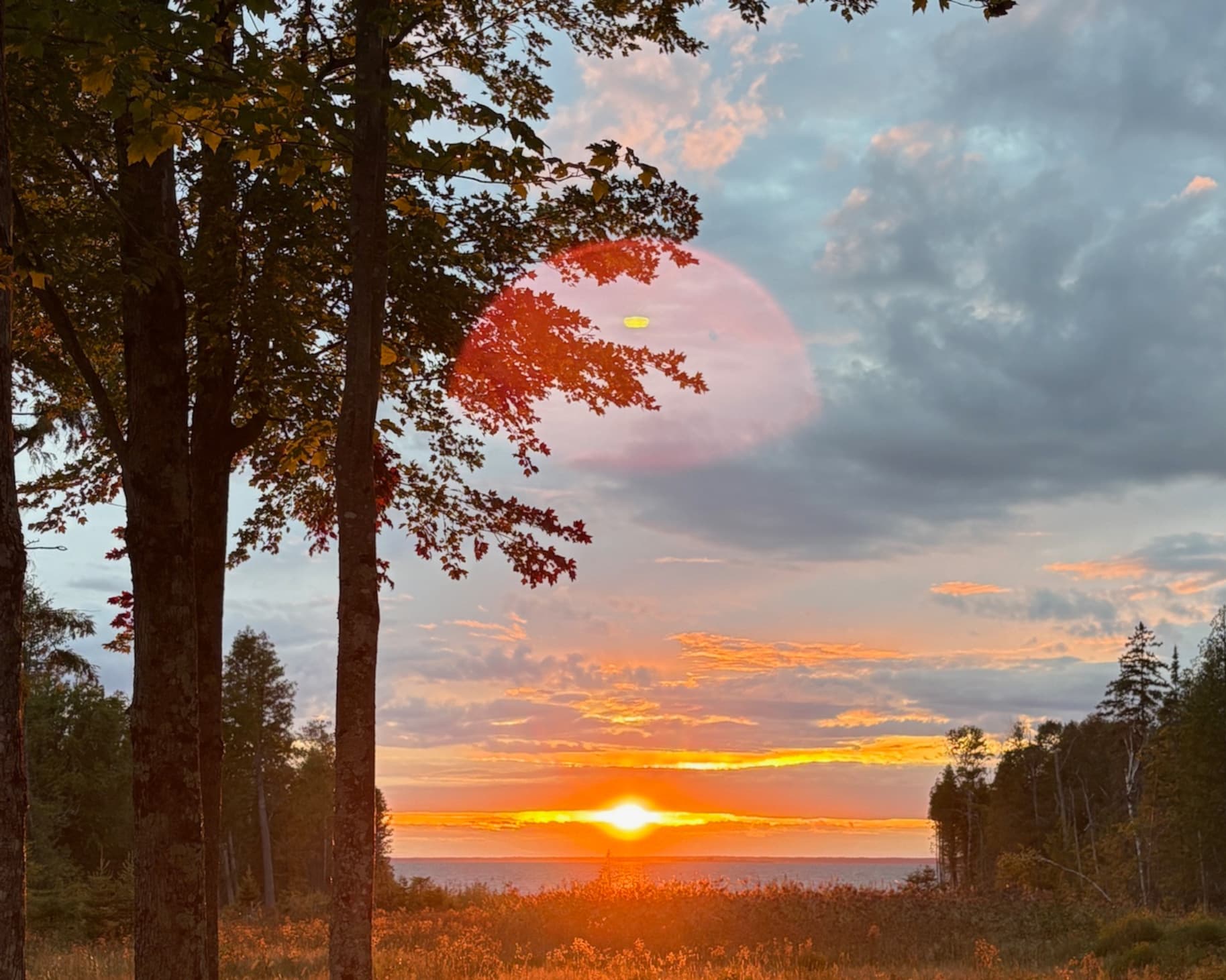 Michigan wilderness scenery